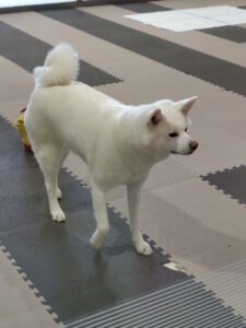 投稿についてもっと詳しく “家がない”　旅をしている奴にそんな不安は通用しない