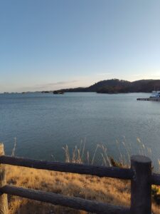 投稿についてもっと詳しく 増してくる　ふあん