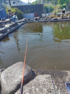 投稿についてもっと詳しく 初の釣り堀で鯉一匹を釣り上げる快挙