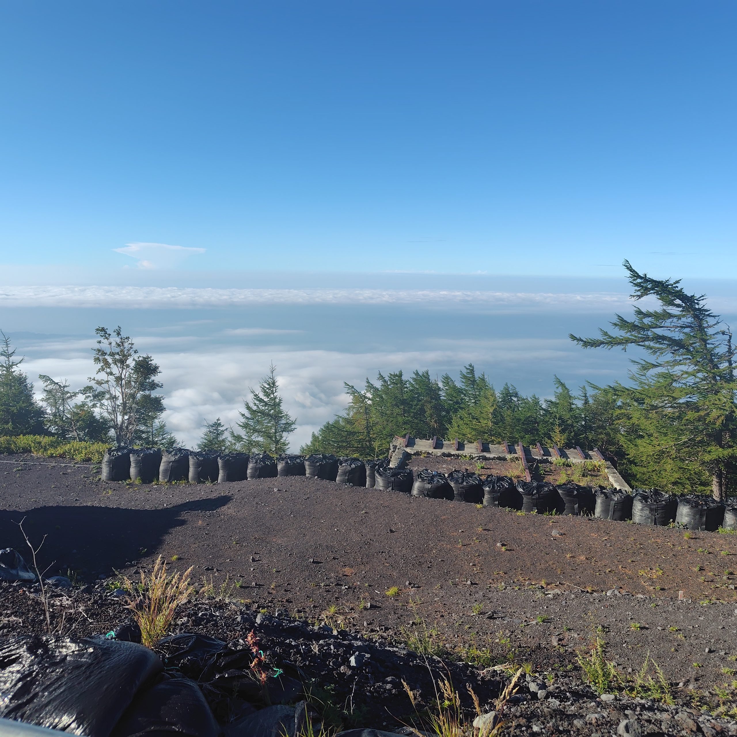 投稿についてもっと詳しく 富士山に登った