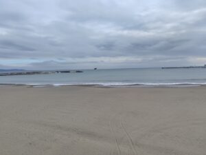 投稿についてもっと詳しく 茅ヶ崎！藤沢！江の島！鎌倉！